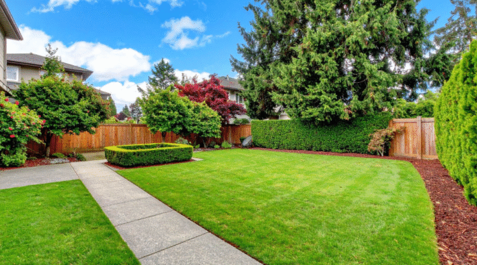 Small Space Landscaping