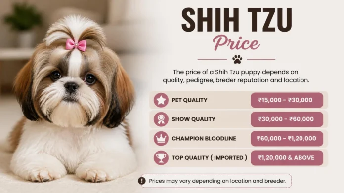 Shih Tzu Price